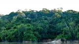  Các Lãnh Đạo Công Giáo Hoa Kỳ Và Miền Amazon Kêu Gọi Chính Phủ Bảo Vệ Rừng Nhiệt Đới